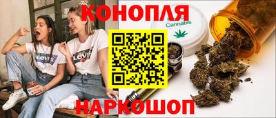 гидропоника Будённовск