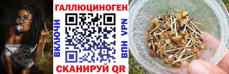 Псилоцибиновые грибы прущие грибы  купить   Курчатов 