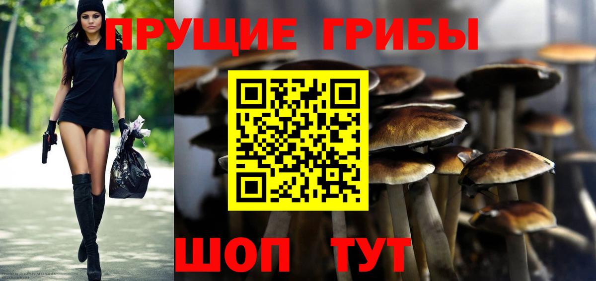 Курчатов  Галлюциногенные грибы GOLDEN TEACHER  Вход с VPN 